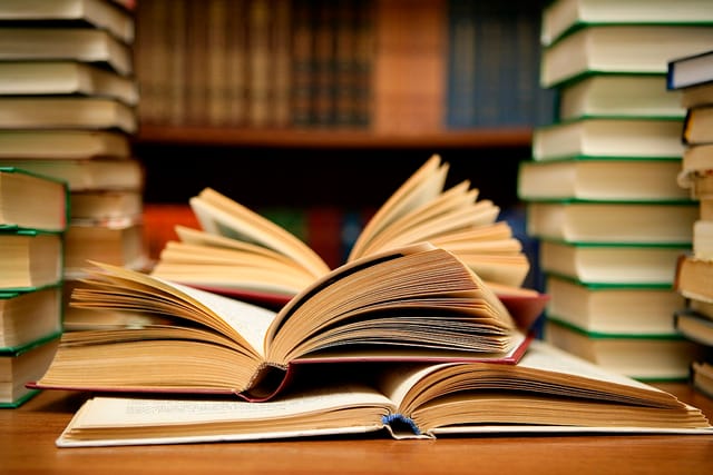 Conheça 6 Curiosidade da Literatura para Comemorar o Dia do Livro