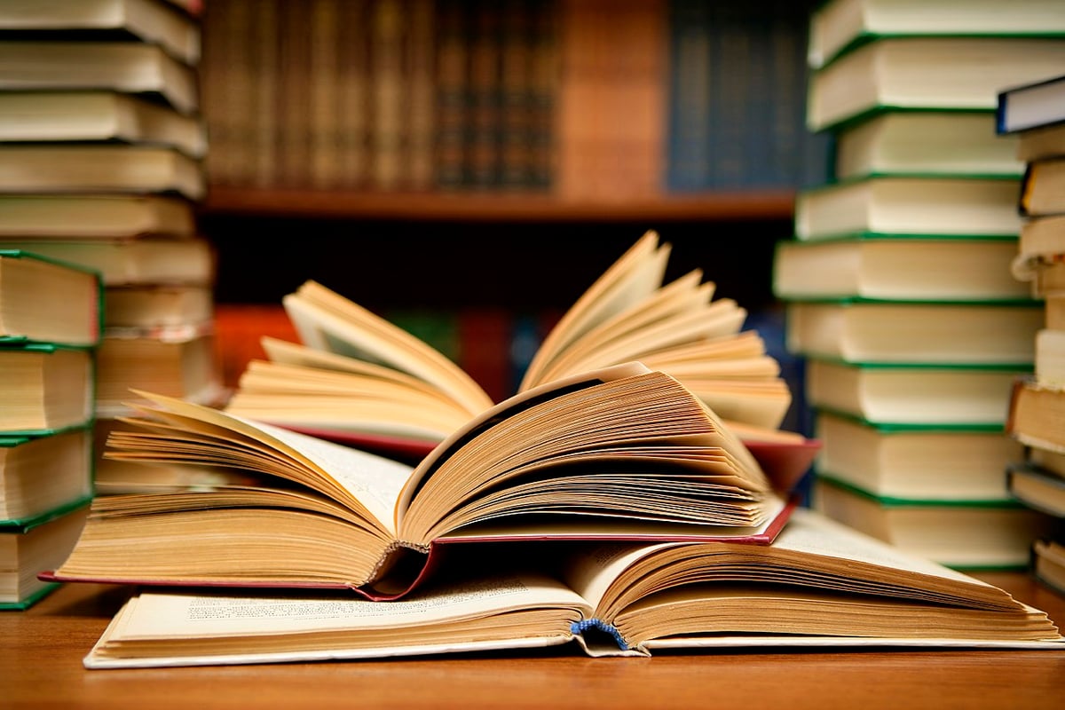 Conheça 6 Curiosidade da Literatura para Comemorar o Dia do Livro